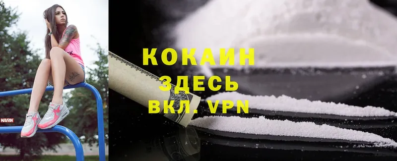 где можно купить   Порхов  Cocaine 97% 